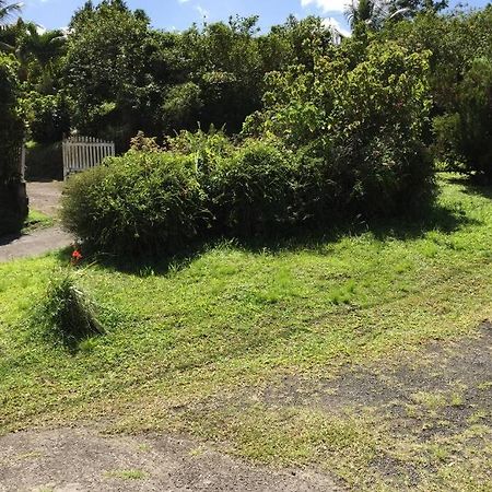 Logement En Pleine Verdure Tropicale -10 Min Plage Le Morne-Rouge Exteriör bild