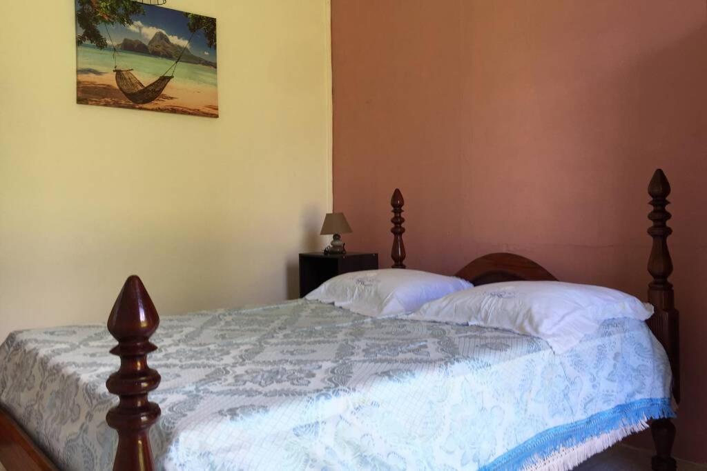 Logement En Pleine Verdure Tropicale -10 Min Plage Le Morne-Rouge Exteriör bild