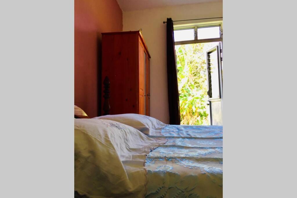 Logement En Pleine Verdure Tropicale -10 Min Plage Le Morne-Rouge Exteriör bild