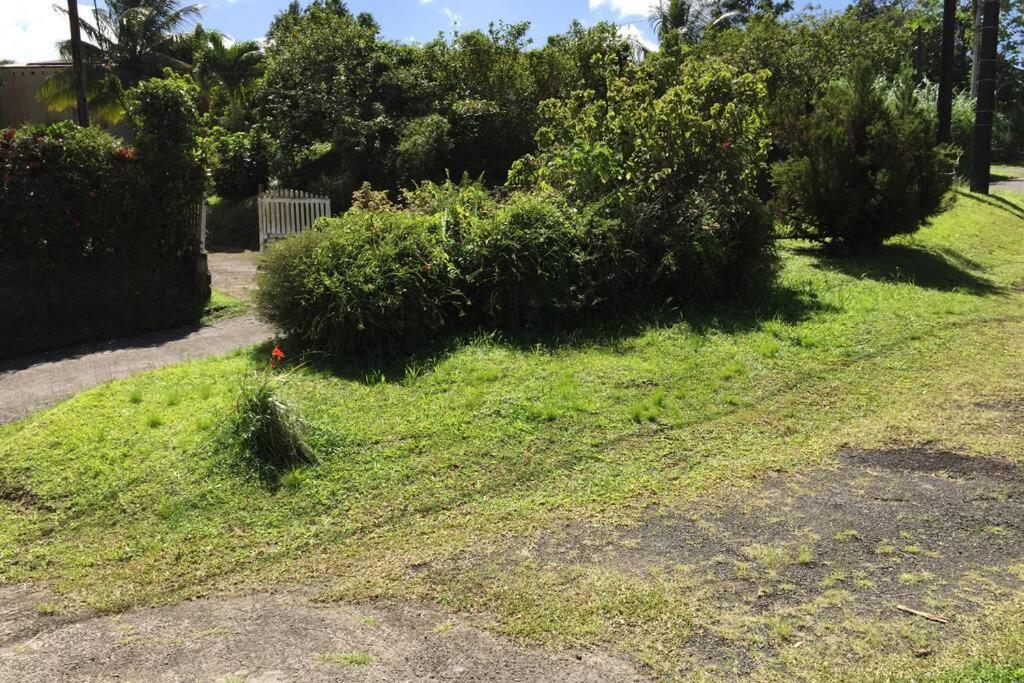 Logement En Pleine Verdure Tropicale -10 Min Plage Le Morne-Rouge Exteriör bild